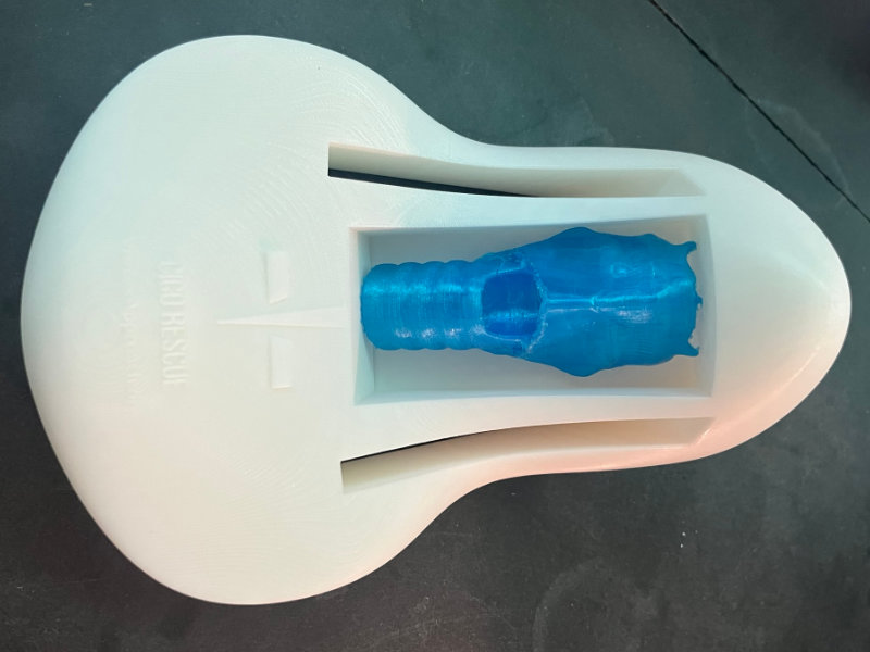 Modèle anatomique imprimé en 3D